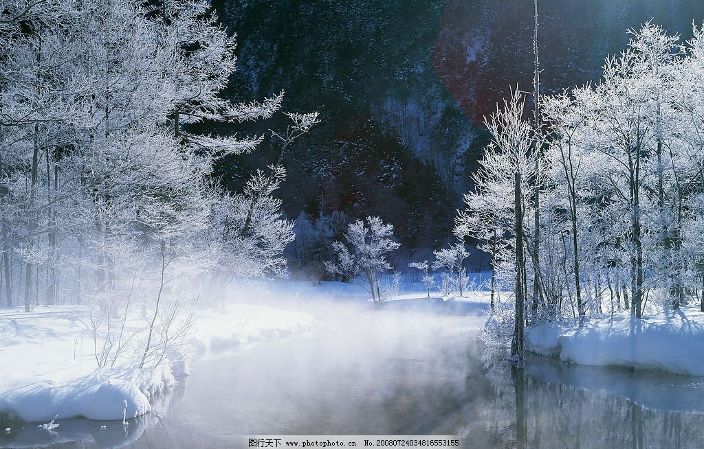 冬季 雪冰 白色世界 树木 森林 水 小溪 寒冷 自然景观 自然风景