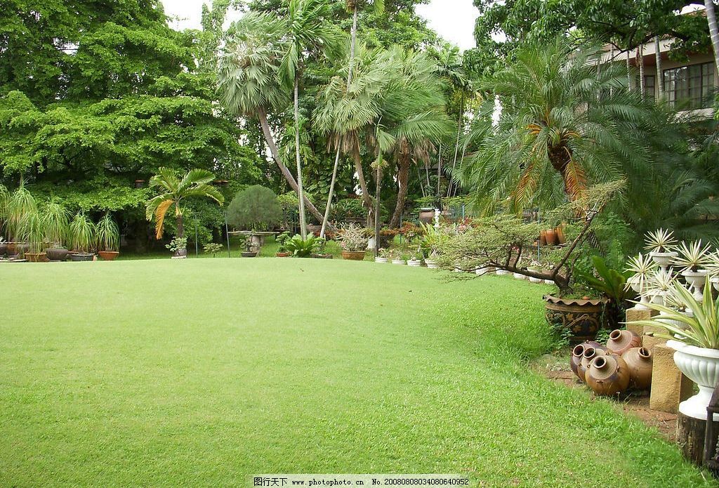 公园 泰国 花园 植物 绿地 草坪 风景 背景 旅游摄影 国外旅游 高尔夫